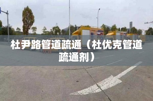 杜尹路管道疏通（杜优克管道疏通剂）