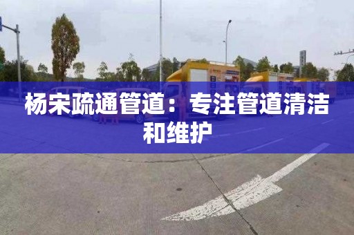 杨宋疏通管道：专注管道清洁和维护