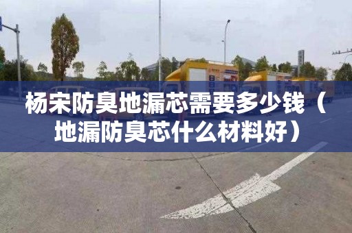 杨宋防臭地漏芯需要多少钱（地漏防臭芯什么材料好）