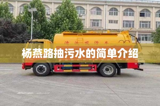 杨燕路抽污水的简单介绍