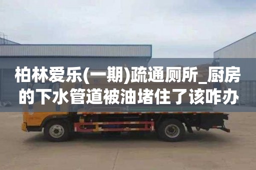 柏林爱乐(一期)疏通厕所_厨房的下水管道被油堵住了该咋办