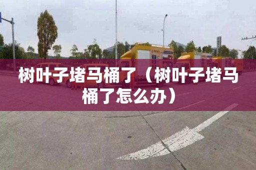 树叶子堵马桶了（树叶子堵马桶了怎么办）