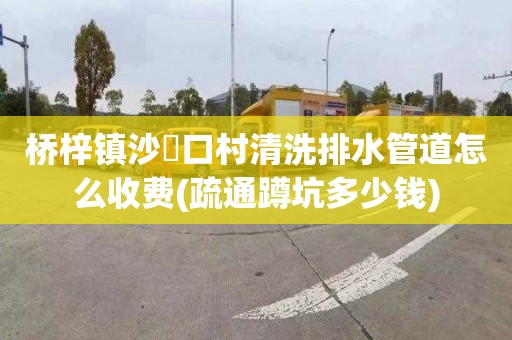 桥梓镇沙硲口村清洗排水管道怎么收费(疏通蹲坑多少钱)