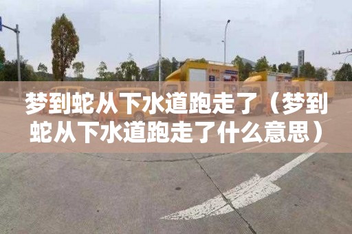 梦到蛇从下水道跑走了（梦到蛇从下水道跑走了什么意思）