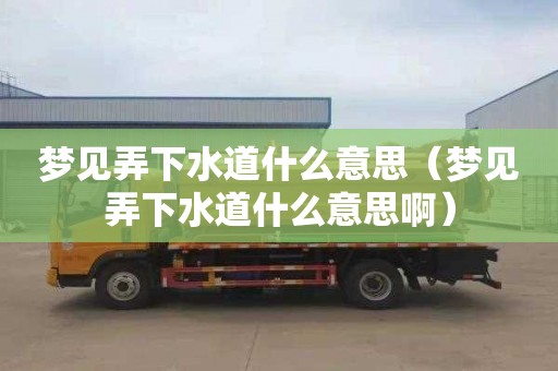 梦见弄下水道什么意思（梦见弄下水道什么意思啊）