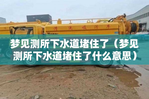 梦见测所下水道堵住了（梦见测所下水道堵住了什么意思）