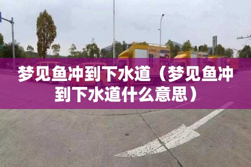 梦见鱼冲到下水道（梦见鱼冲到下水道什么意思）