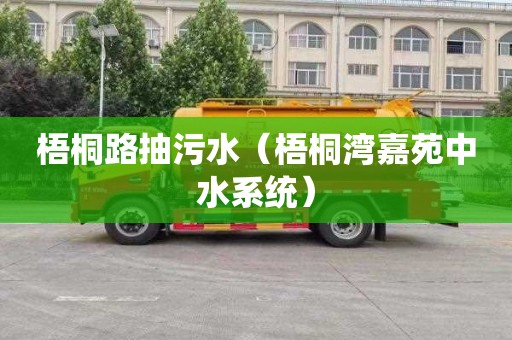 梧桐路抽污水（梧桐湾嘉苑中水系统）