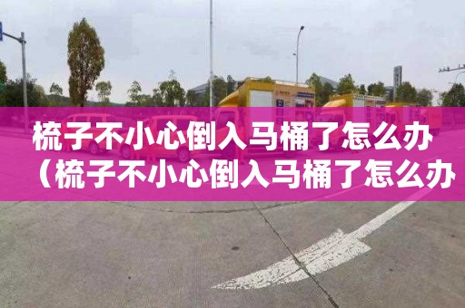 梳子不小心倒入马桶了怎么办（梳子不小心倒入马桶了怎么办呢）