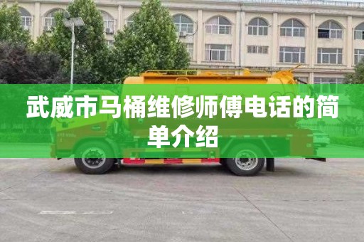 武威市马桶维修师傅电话的简单介绍