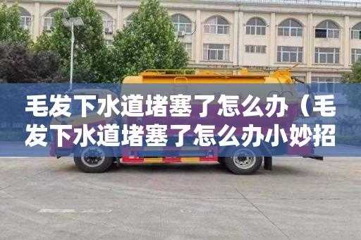 毛发下水道堵塞了怎么办（毛发下水道堵塞了怎么办小妙招）