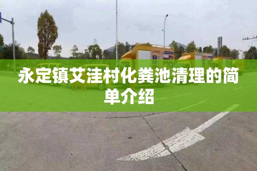永定镇艾洼村化粪池清理的简单介绍