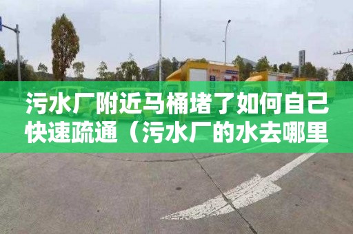 污水厂附近马桶堵了如何自己快速疏通（污水厂的水去哪里了）