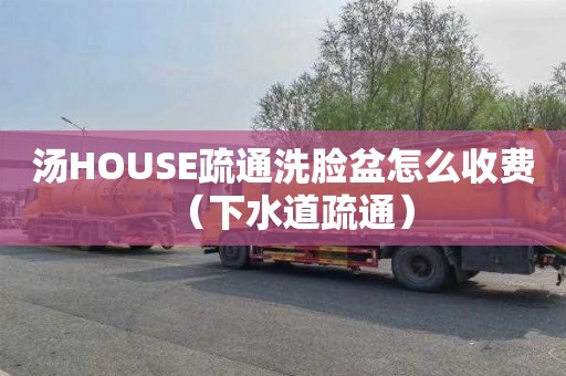 汤HOUSE疏通洗脸盆怎么收费（下水道疏通）