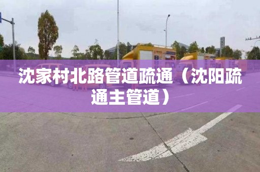 沈家村北路管道疏通（沈阳疏通主管道）