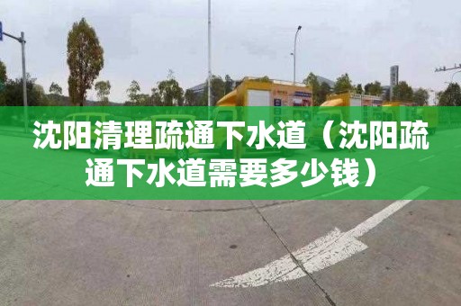 沈阳清理疏通下水道（沈阳疏通下水道需要多少钱）