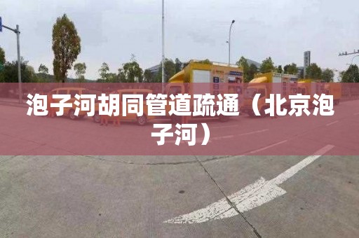 泡子河胡同管道疏通（北京泡子河）