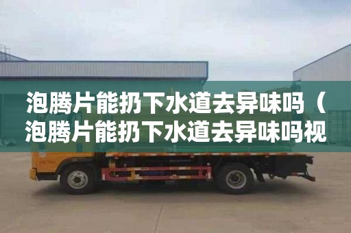 泡腾片能扔下水道去异味吗（泡腾片能扔下水道去异味吗视频）