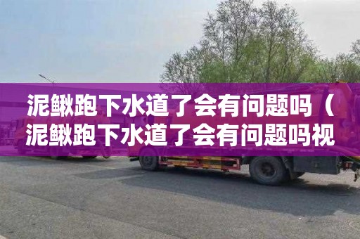 泥鳅跑下水道了会有问题吗（泥鳅跑下水道了会有问题吗视频）