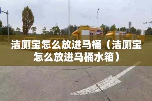 洁厕宝怎么放进马桶（洁厕宝怎么放进马桶水箱）