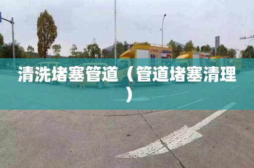 清洗堵塞管道（管道堵塞清理）