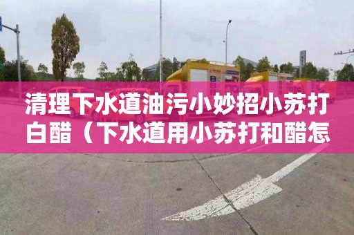 清理下水道油污小妙招小苏打白醋（下水道用小苏打和醋怎么弄）