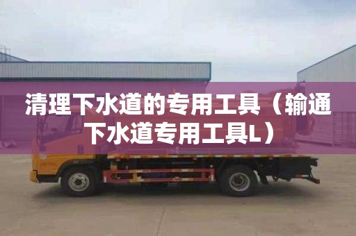 清理下水道的专用工具（输通下水道专用工具L）