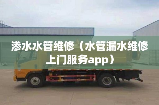 渗水水管维修（水管漏水维修上门服务app）