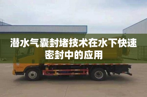 潜水气囊封堵技术在水下快速密封中的应用