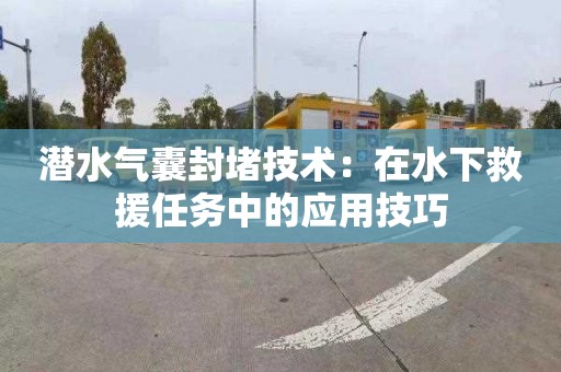 潜水气囊封堵技术：在水下救援任务中的应用技巧