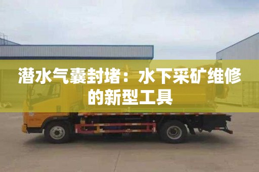 潜水气囊封堵：水下采矿维修的新型工具