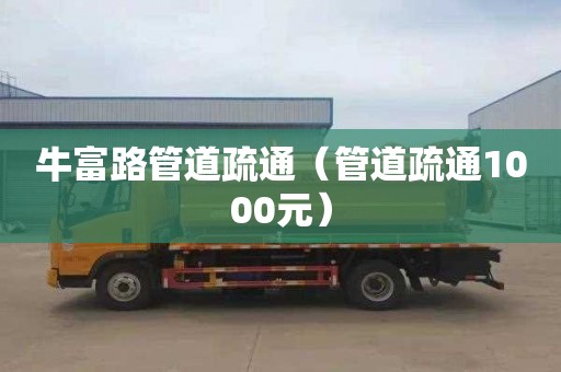 牛富路管道疏通（管道疏通1000元）