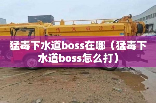 猛毒下水道boss在哪（猛毒下水道boss怎么打）