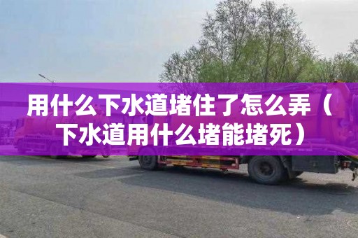 用什么下水道堵住了怎么弄（下水道用什么堵能堵死）