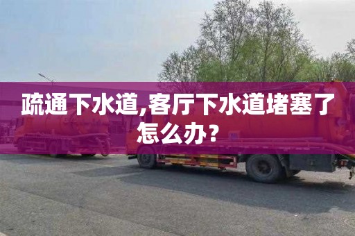 疏通下水道,客厅下水道堵塞了怎么办？