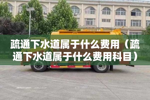 疏通下水道属于什么费用（疏通下水道属于什么费用科目）