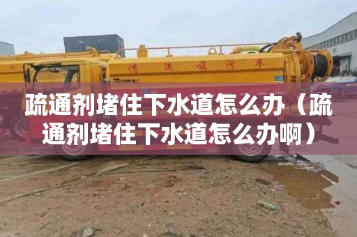 疏通剂堵住下水道怎么办（疏通剂堵住下水道怎么办啊）