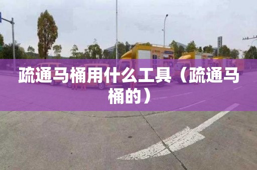 疏通马桶用什么工具（疏通马桶的）