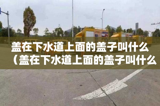 盖在下水道上面的盖子叫什么（盖在下水道上面的盖子叫什么名字）