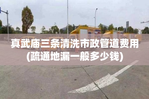 真武庙三条清洗市政管道费用(疏通地漏一般多少钱)