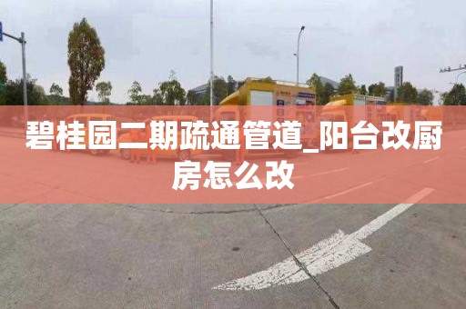 碧桂园二期疏通管道_阳台改厨房怎么改