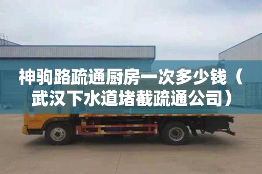 神驹路疏通厨房一次多少钱（武汉下水道堵截疏通公司）