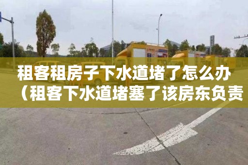 租客租房子下水道堵了怎么办（租客下水道堵塞了该房东负责吗）