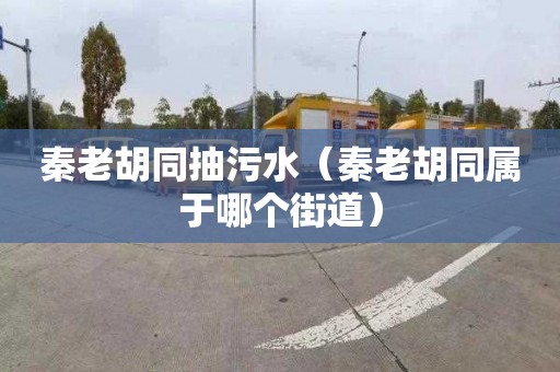 秦老胡同抽污水（秦老胡同属于哪个街道）