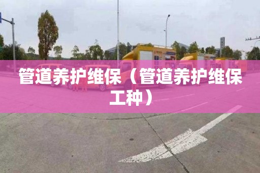 管道养护维保（管道养护维保工种）