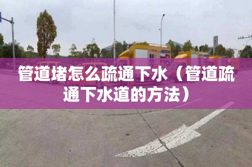 管道堵怎么疏通下水（管道疏通下水道的方法）