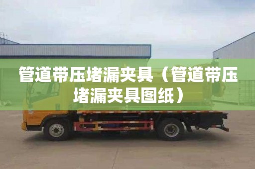 管道带压堵漏夹具（管道带压堵漏夹具图纸）