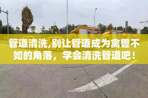 管道清洗,别让管道成为禽兽不如的角落，学会清洗管道吧！