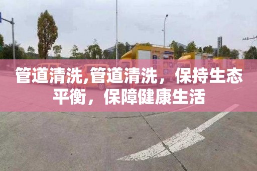 管道清洗,管道清洗，保持生态平衡，保障健康生活