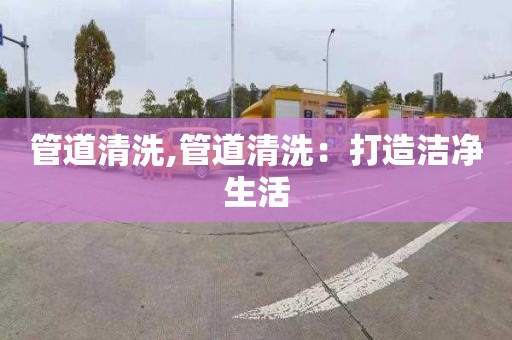 管道清洗,管道清洗：打造洁净生活